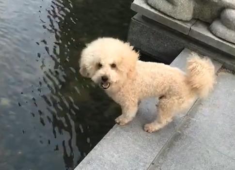 港澳新闻 第38页